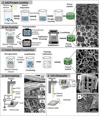Trends in the Development of Tailored <mark class="highlighted">Elastin-Like</mark> Recombinamer–Based Porous Biomaterials for Soft and Hard Tissue Applications